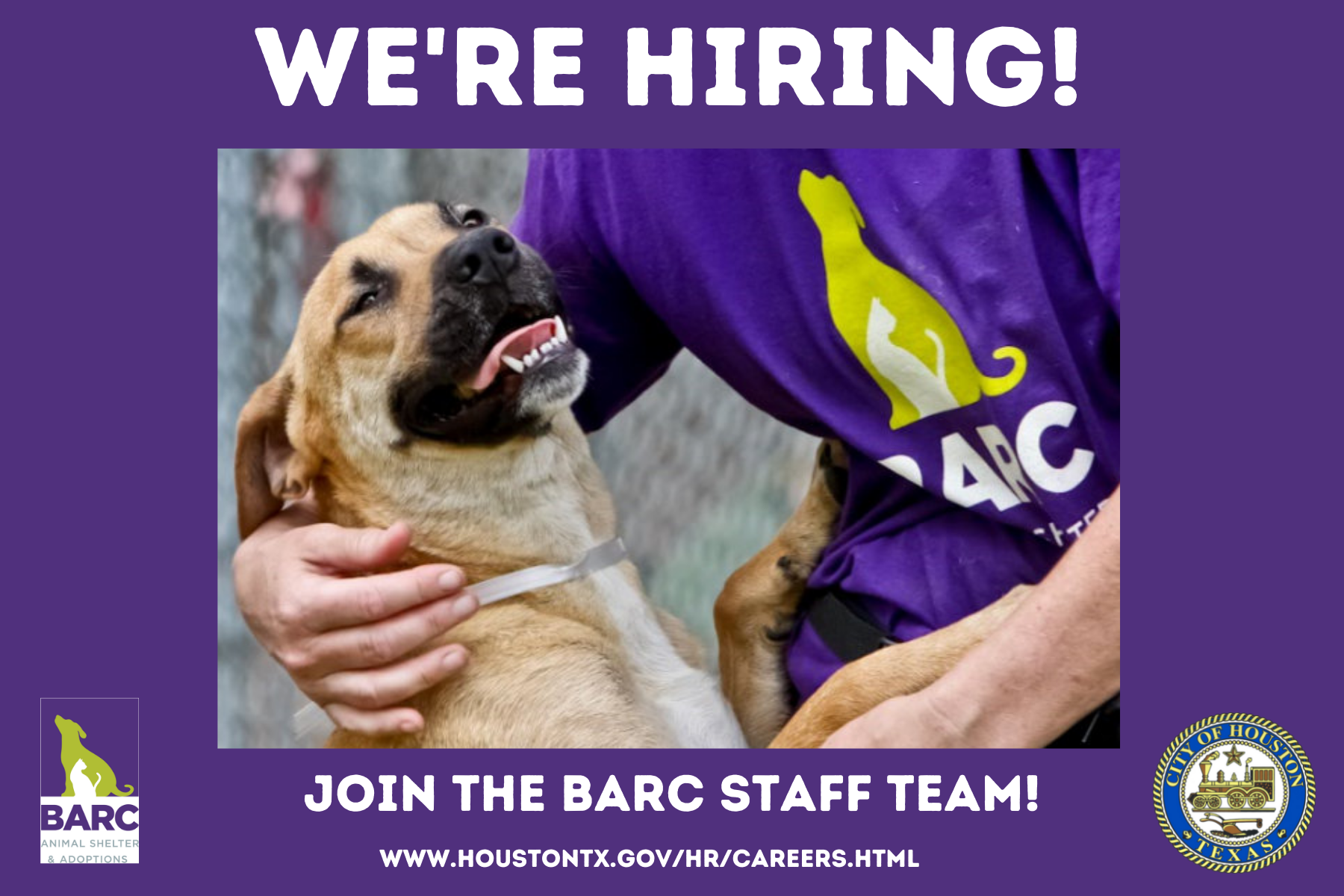 Join Our Team